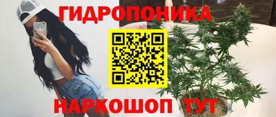 гашик Ставрополь