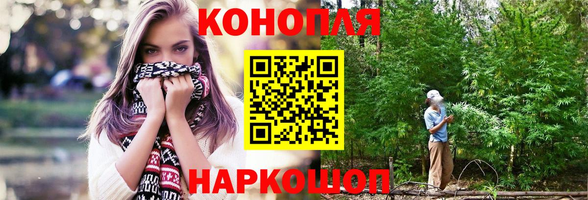 Бошки Шишки план Октябрьский
